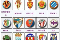 皇马引援西甲全能型球员，转会窗口新目标曝光